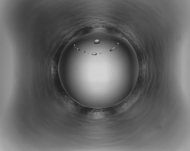 X0000116390228200912021546