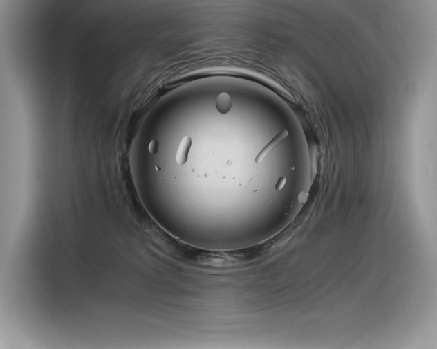 X0000116390229200912021546