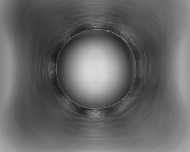 X0000116390230200912021546