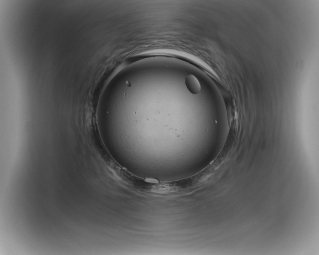 X0000116390231200912021546