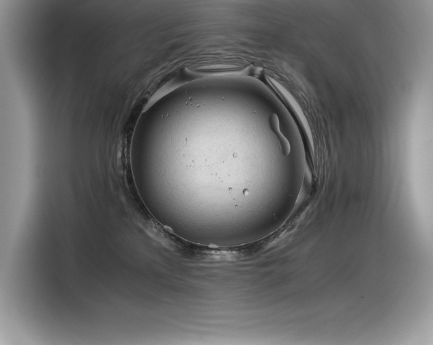 X0000116390233200912021546