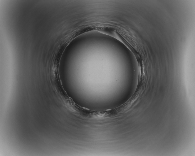 X0000116390235200912021546