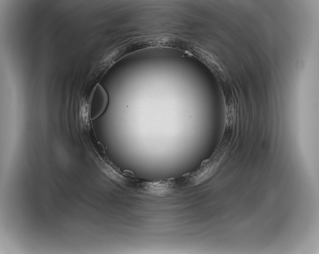 X0000116390238200912021546