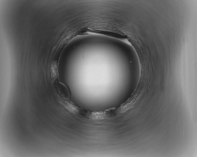 X0000116390240200912021546