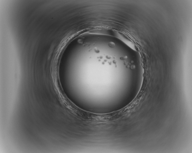 X0000116390241200912021545