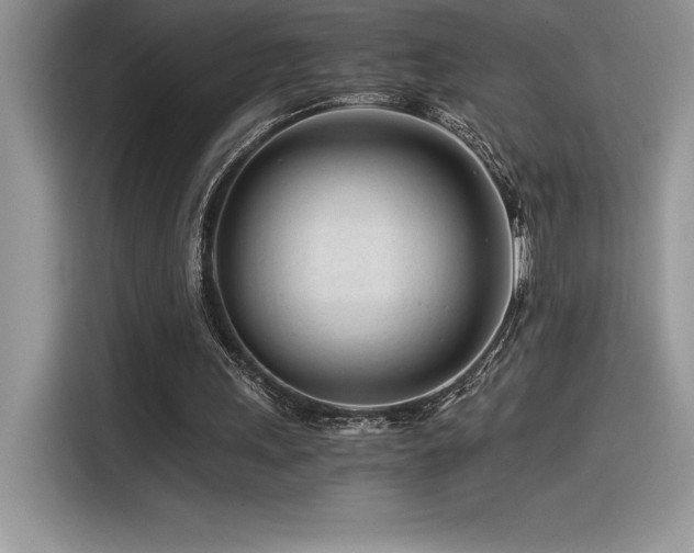 X0000116390243200912021545