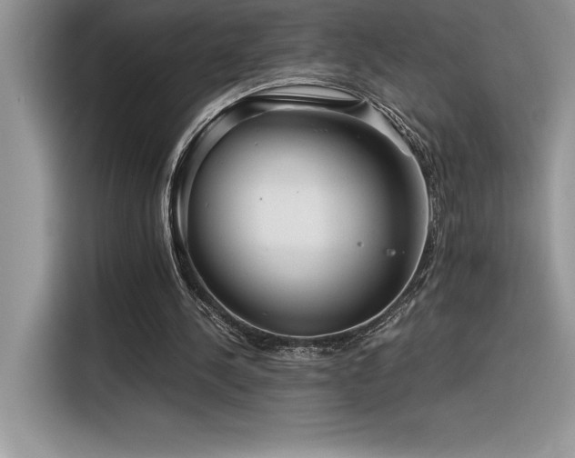 X0000116390244200912021545