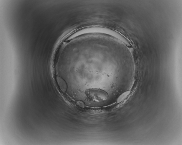 X0000116390245200912021545