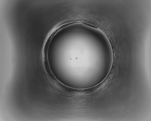 X0000116390246200912021545