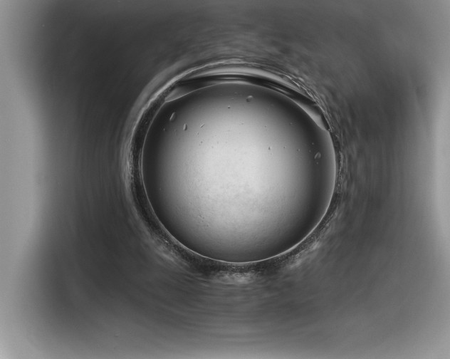 X0000116390247200912021545