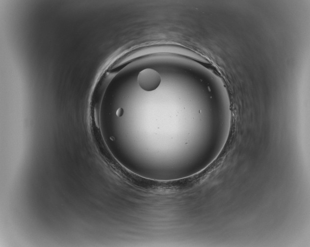 X0000116390248200912021545
