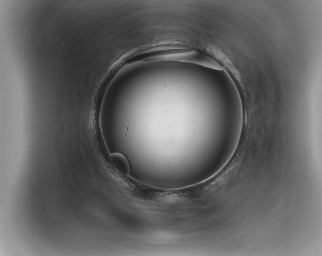 X0000116390249200912021545