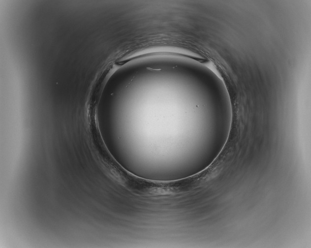 X0000116390250200912021545