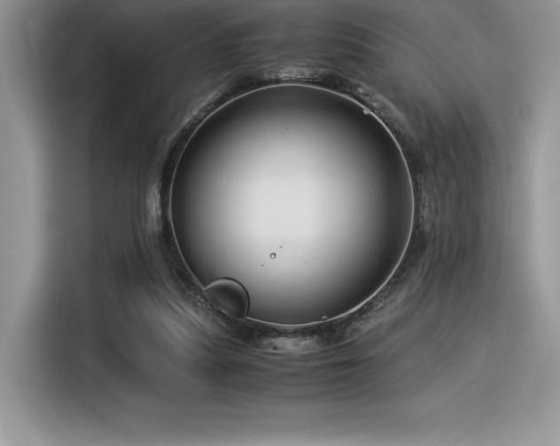 X0000116390251200912021545