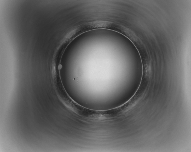 X0000116390254200912021545