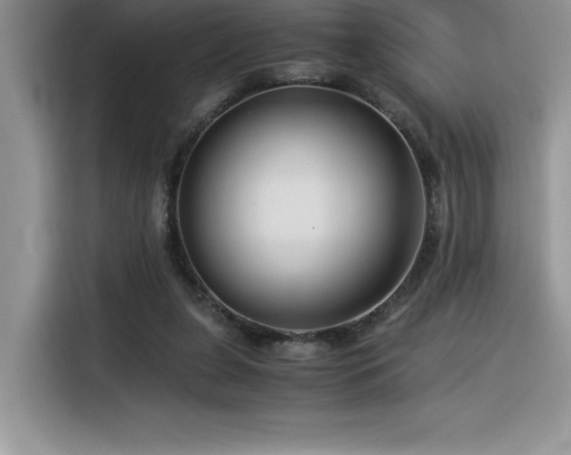 X0000116390255200912021545
