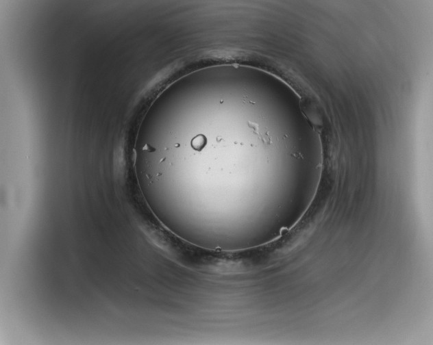 X0000116390256200912021545