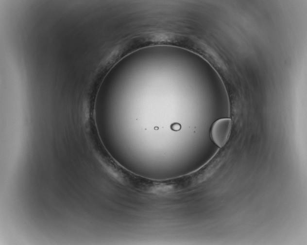 X0000116390257200912021545