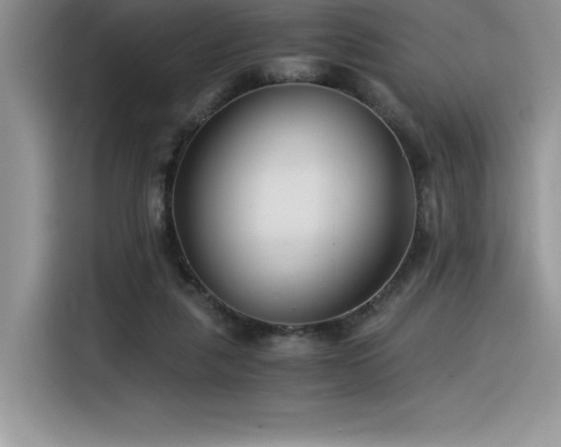 X0000116390259200912021545