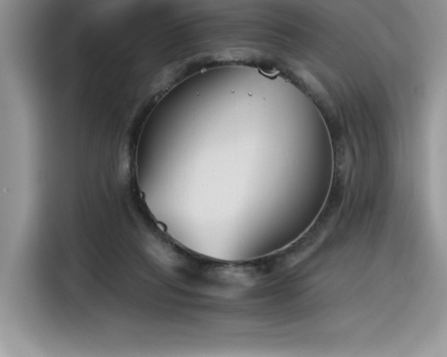 X0000116390261200912021545
