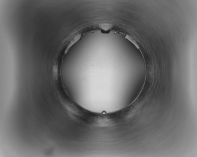 X0000116390262200912021545