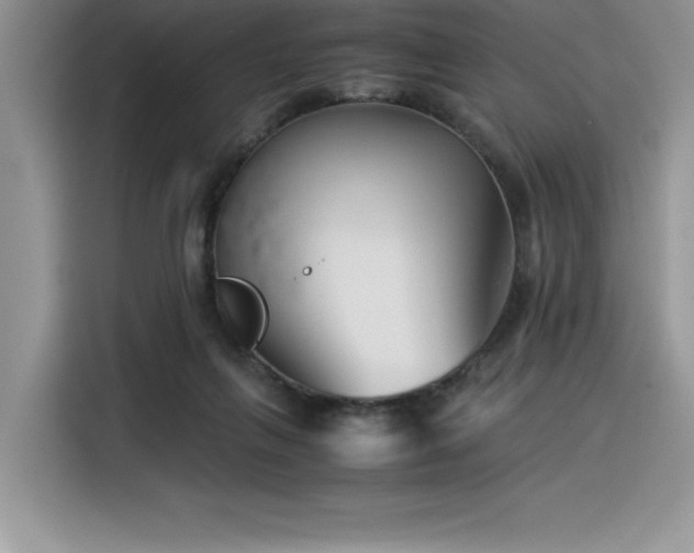 X0000116390263200912021545