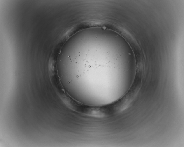 X0000116390264200912021545