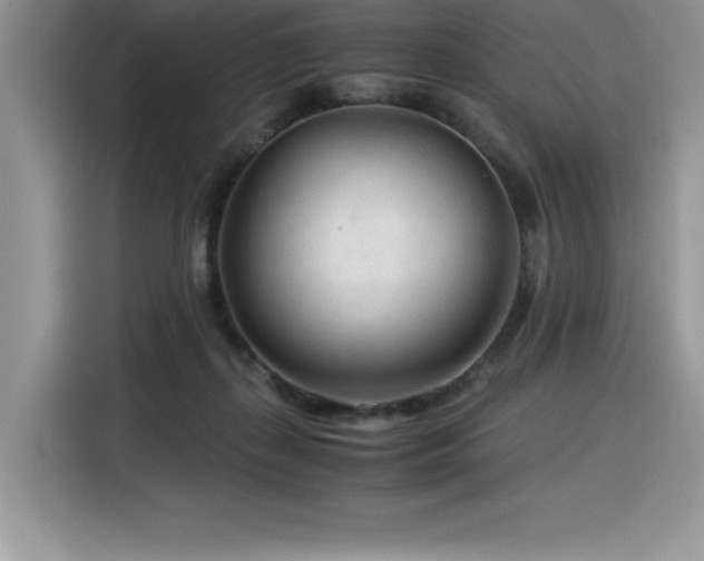 X0000116390267200912021545