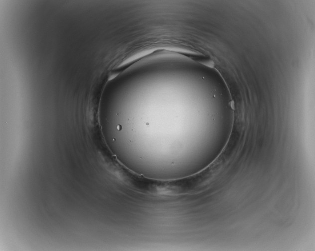 X0000116390268200912021545