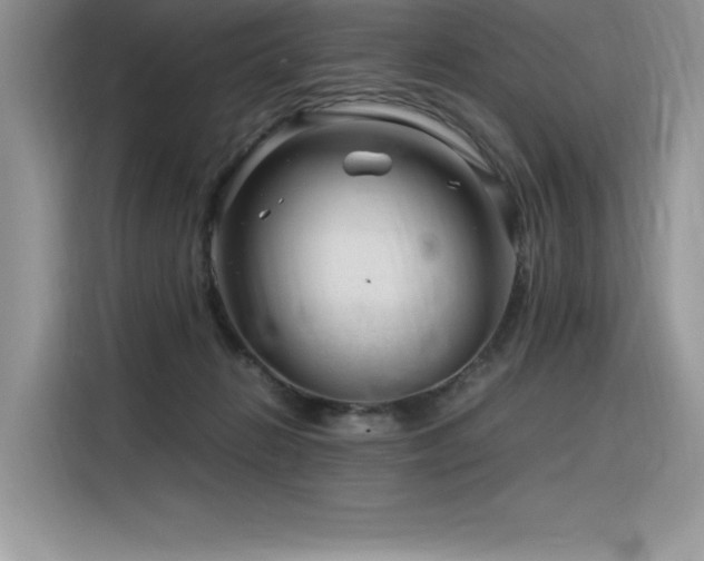 X0000116390270200912021545