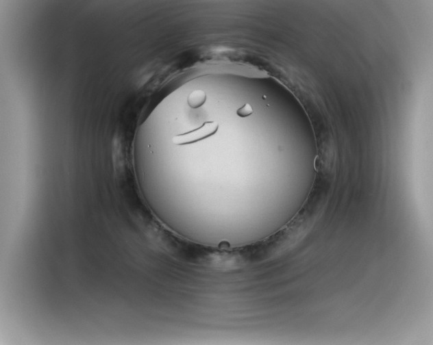 X0000116390272200912021545