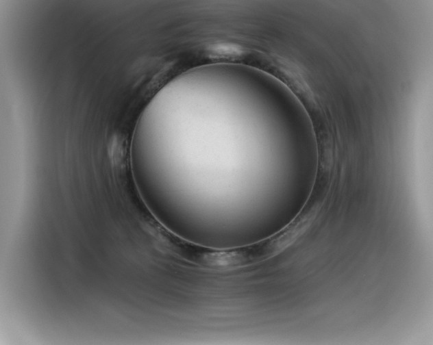 X0000116390273200912021545