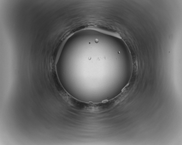 X0000116390276200912021546