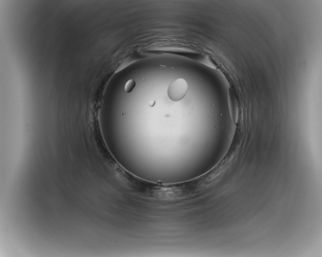 X0000116390277200912021546