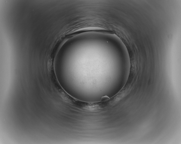 X0000116390278200912021546