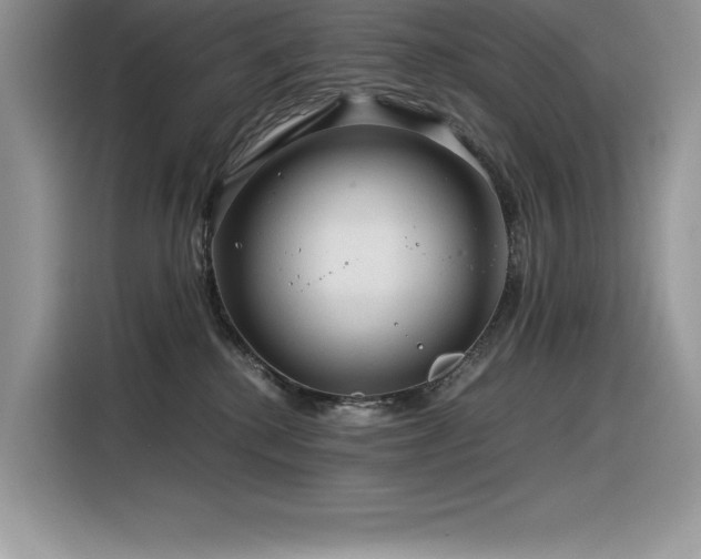 X0000116390280200912021546