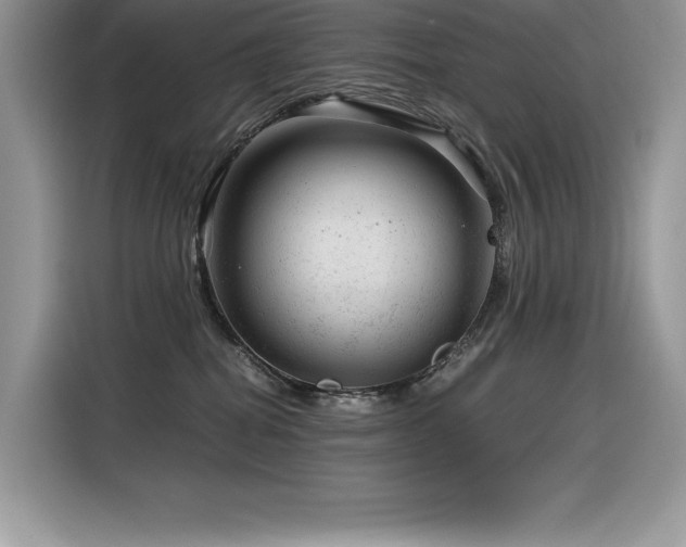 X0000116390282200912021546