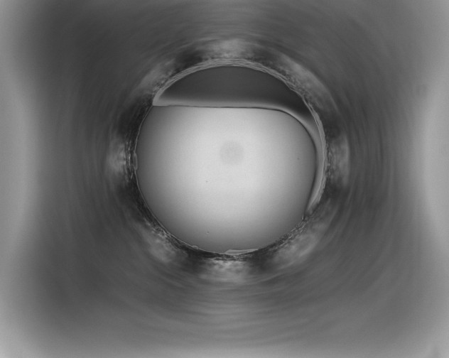 X0000116390284200912021546