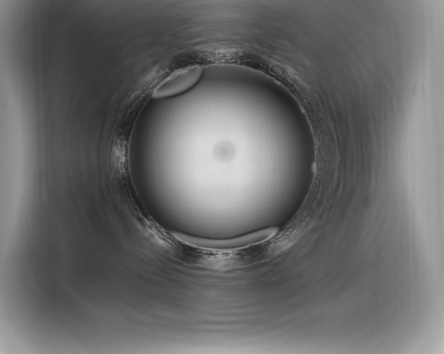 X0000116390288200912021546