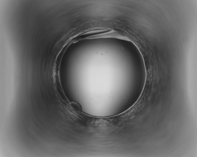 X0000116390290200912021545