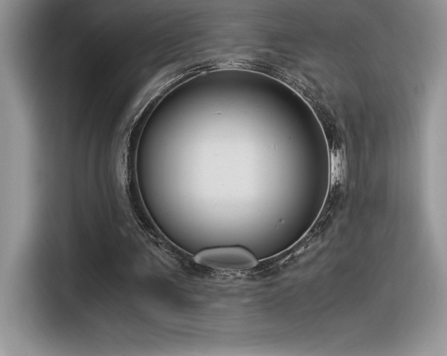 X0000116390291200912021545