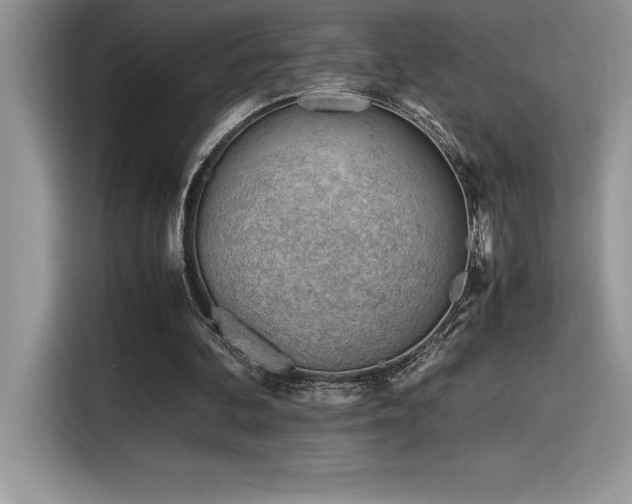 X0000116390292200912021545