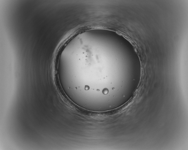 X0000116390293200912021545