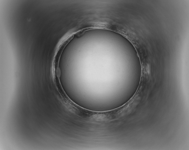 X0000116390294200912021545