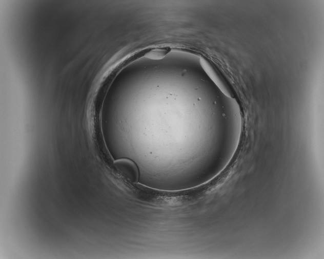 X0000116390295200912021545