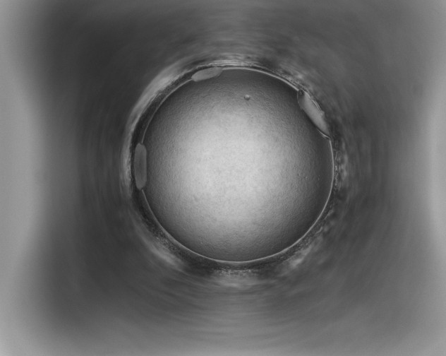X0000116390296200912021545