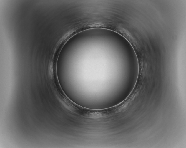 X0000116390298200912021545