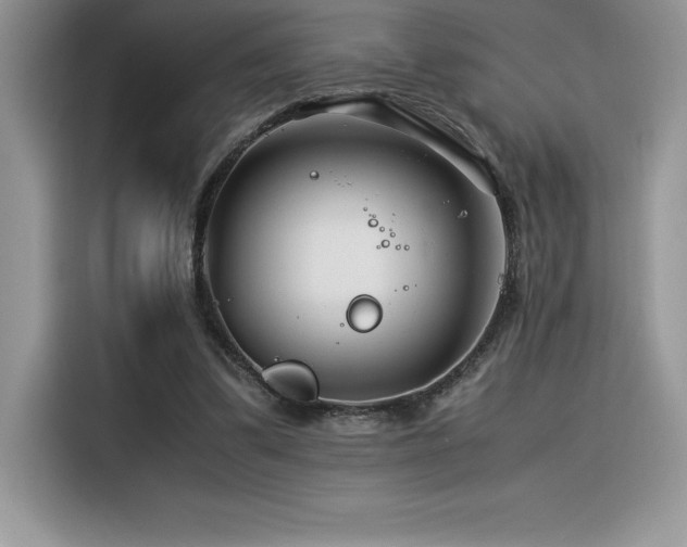 X0000116390299200912021545