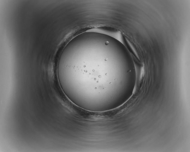 X0000116390300200912021545