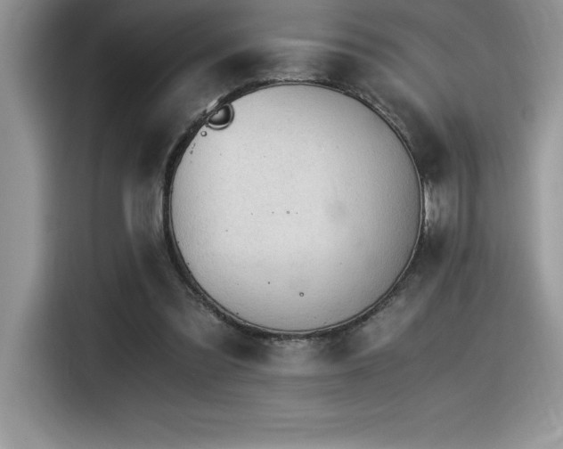 X0000116390301200912021545